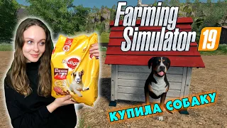 ПЕРВЫЕ ЖИВОТНЫЕ - Farming Simulator 19 МОИ ПЕРВЫЕ КУРОЧКИ