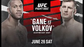 UFC Fight Night 190: ГАН VS ВОЛКОВ