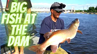 Big Summer Musky At the Dam