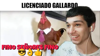 REACCIONANDO A MEMES RANDOM #431 !LOS MEJORES MEMES RANDOM!