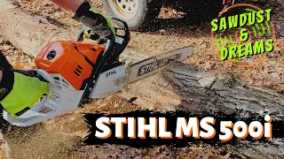 Stihl MS 500i - Cutting Firewood