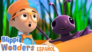 Hormigas! | Blippi Wonders | Caricaturas para niños | Videos educativos para niños