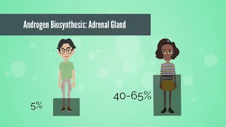 APGO Basic Sciences - Topic 13: Hirsutism