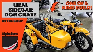 This Custom Ural Sidecar Cage is Every Pup's Dream!