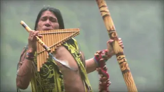 추억의 중남미 명곡, 엘 콘도르파사(철새는 날아가고) El condor pasa 아마존 연주