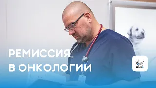 Что такое ремиссия в онкологии