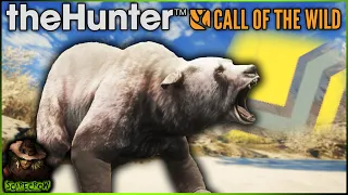 DIAMOND SPIRIT BROWN BEAR! This Is My Dream Medved Trophy! Call of the wild
