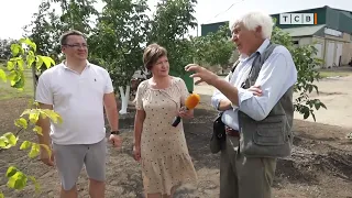 Ореховое Будущее Приднестровья. Как Вырастить Самый Ценный Орех. 6 Соток. 05 09 2022