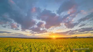 Nikon D610 Rural Sunset Time Lapse - Short #australia #nikon #timelapse #photography #astro