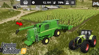 Harvesting Sunflowers In Farming Simulator 20 || Fs20