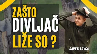 So u ishrani divljači [Kad, kako, zašto?]