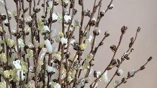 Как сделать Вербу из бисера. Мастер-класс / DIY: How to make Pussy Willow out of beads. Tutorial