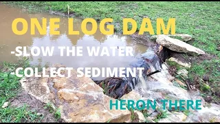 one log dam