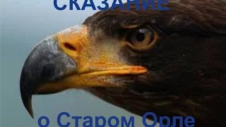 сказание о Старом Орле. Система оздоровления.