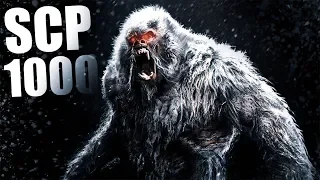 I Hunted A Monster That I Couldnt Escape From... SCP 1000 Finding Bigfoot