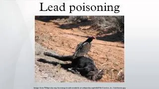 Lead poisoning