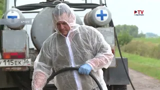 Стало известно, где именно обнаружили споры сибирской язвы в воронежском селе