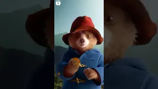 Paddington 3