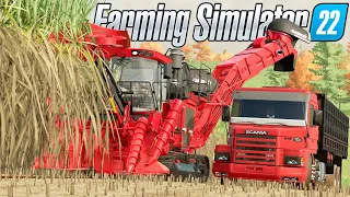 SCANIA NO PUXE DE CANA DOS GURI | Os Guri | Farming Simulator 22 - EP 62