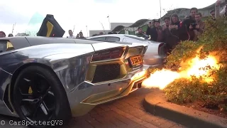 Lamborghini Aventador w/ Capristo Exhaust Sets Bushes On Fire! INSANE Flames!