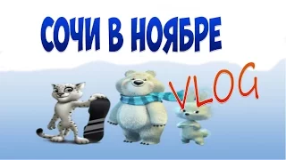 Пора валить в Сочи? Стоит ли ехать в ноябре на российские курорты