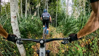 Found a hidden gem near The Lost Coast | Mountain biking Blue Lake, California