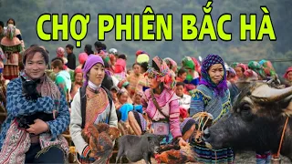 CHỢ PHIÊN BẮC HÀ - LÀO CAI 2024 . CHỢ PHIÊN LỚN NHẤT NHÌ TÂY BẮC , Sapa Vietnam food market