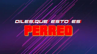 Perreo miniset