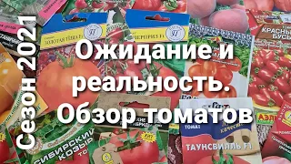 Урожайные сорта томатов лето 2021. Томаты для теплицы.