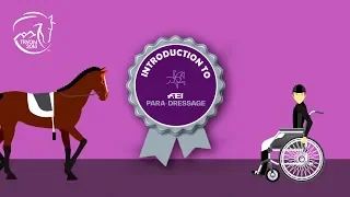 The rules of Para Dressage | FEI World Equestrian Games™ Tryon 2018
