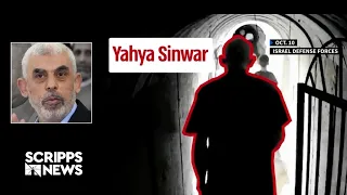 Israel releases video allegedly showing Hamas leader fleeing Gaza tunnels