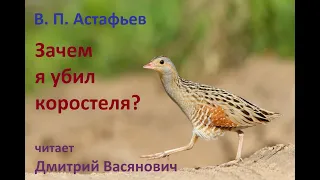 В. П. Астафьев. Зачем я убил коростеля? Читает Дмитрий Васянович