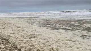 Angry Ocean Surf!!! 12/23/22 Robert Moses State Park
