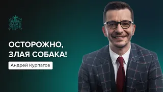 Осторожно, злая собака! | Андрей Курпатов