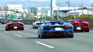 【Crazy】Aventador amazing exhaust sounds.🔥