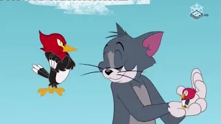 Tom si Jerry ~   Destinatia acasa   ~ Desene animate traduse dublate in romana1