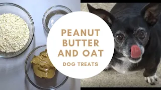 NO-BAKE PEANUT BUTTER AND OAT DOG TREATS - You can also use these as pill pockets!