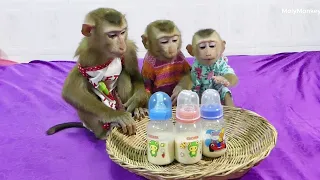 Three Obedient Mori Donnal & Molly Waiting Mom Prepare Milk For Them
