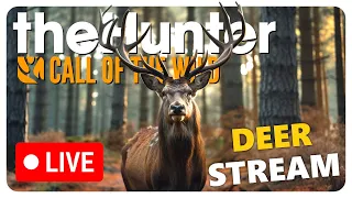 Call of the Wild Stream: Hunting ever single deer species in the game