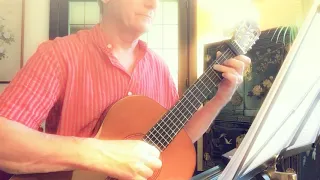 Local Hero - Mark Knopfler  (Arr. Søren Madsen) Capo I