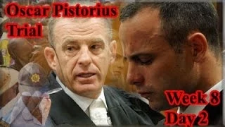 Oscar Pistorius Trial: Tuesday 13 May 2014, Session 1