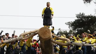 Спуститься с горы на бревне: Омбасира - самый опасный, травматичный и сумасшедший фестиваль в Японии