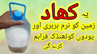 Best Fertiliser for Plants | Zameen Ko Narm Aur Burburi Aur Padon Ko Thandak Dene Wali Khaad