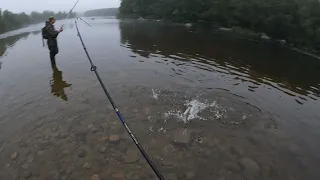 НОЧНАЯ ЛОВЛЯ ФОРЕЛИ НА РЕКЕ / NIGHT TROUT FISHING ON THE RIVER