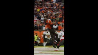 ONE HANDED GRAB! Jacoby Brissett connects with David Njoku IN THE ENDZONE