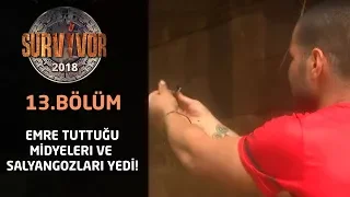 Survivor 2018 | 13. Bölüm | Emre Tuttuğu Midyeleri ve Salyangozları Yedi!