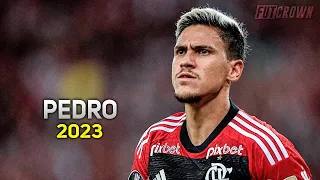 Pedro 2023 ● Flamengo ► Insane Skills & Goals | HD
