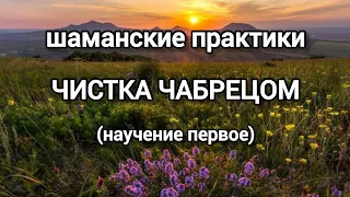 Шаманские практики. Самостоятельная чистка чабрецом. Научение первое