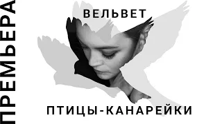 Вельвет — Птицы-канарейки (2019)