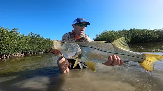 Snook 101 // How to Fly Fish for Snook